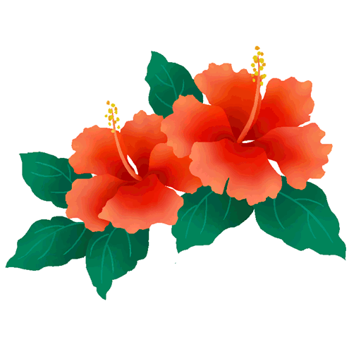 hibiscus.gif